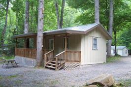 Cabin # 49 - Sleeps 4